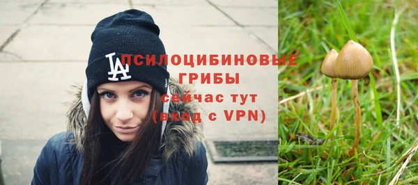 винт Богородицк