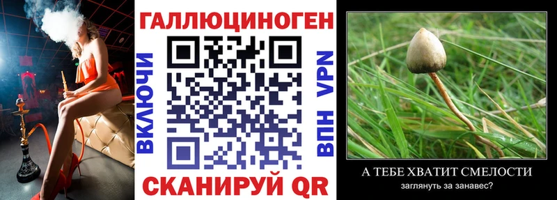 Псилоцибиновые грибы MAGIC MUSHROOMS  OMG   Среднеуральск  купить наркотик 